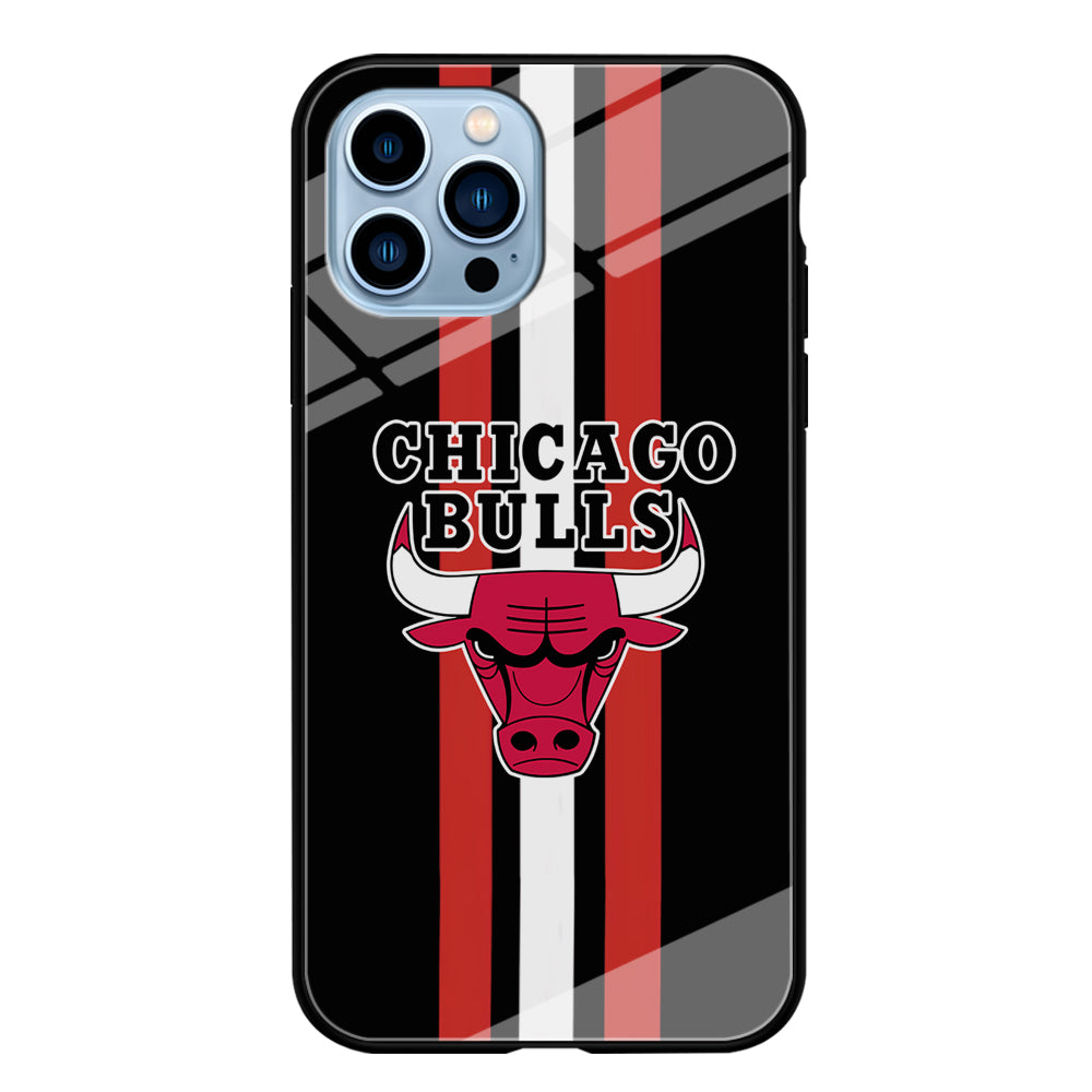 Chicago Bulls Stripe And Emblem iPhone 13 Pro Max Case