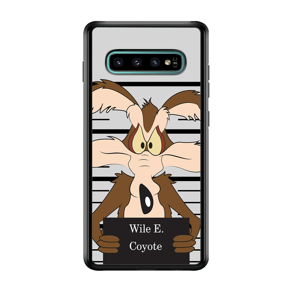 Road Runner Wile E Coyote Get Caught Samsung Galaxy S10 Plus Case