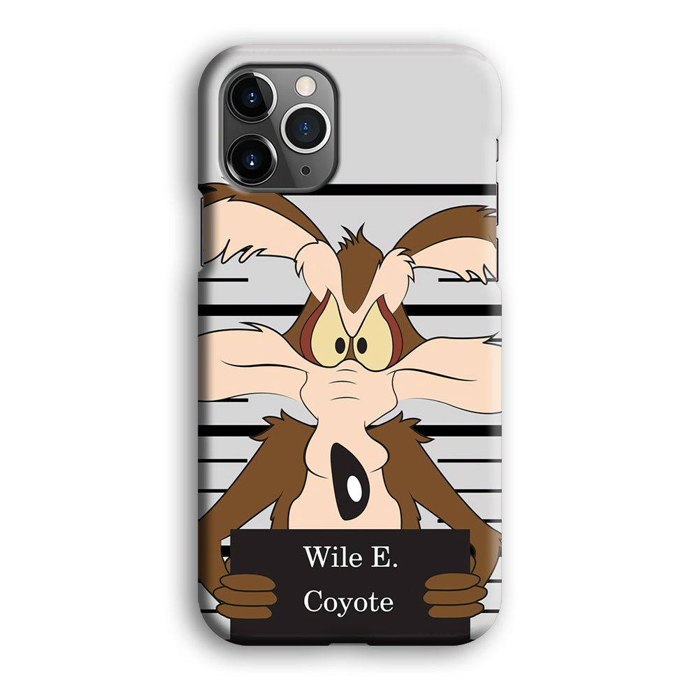 Road Runner Wile E Coyote Get Caught iPhone 12 Pro Case