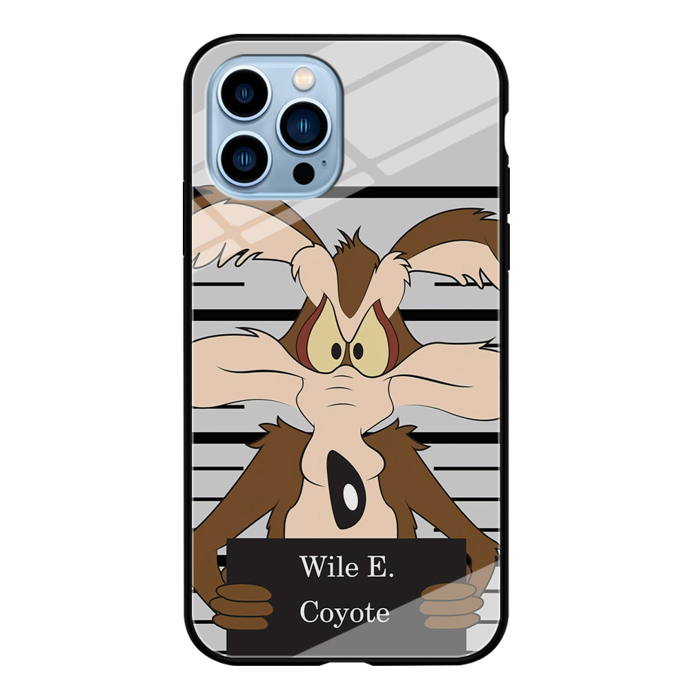 Road Runner Wile E Coyote Get Caught iPhone 13 Pro Max Case