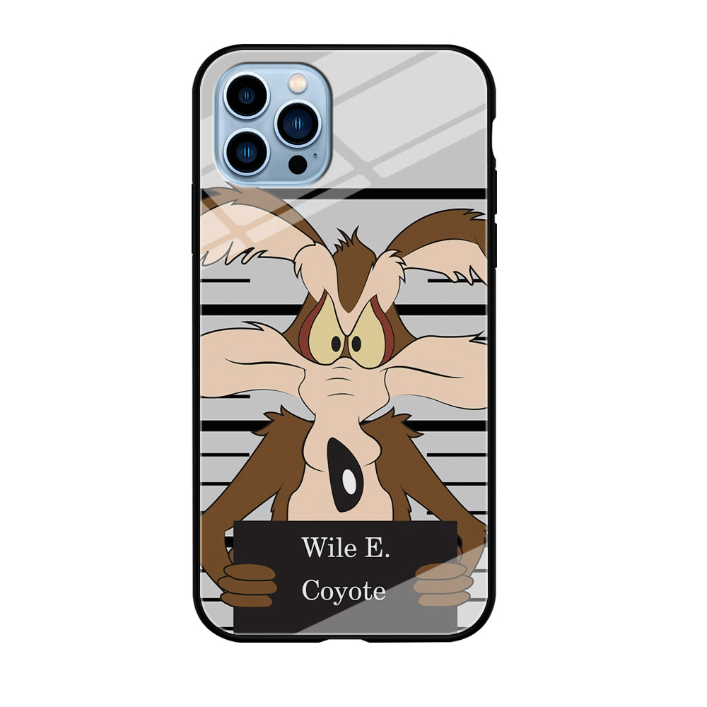 Road Runner Wile E Coyote Get Caught iPhone 12 Pro Max Case Tempered Glass Case