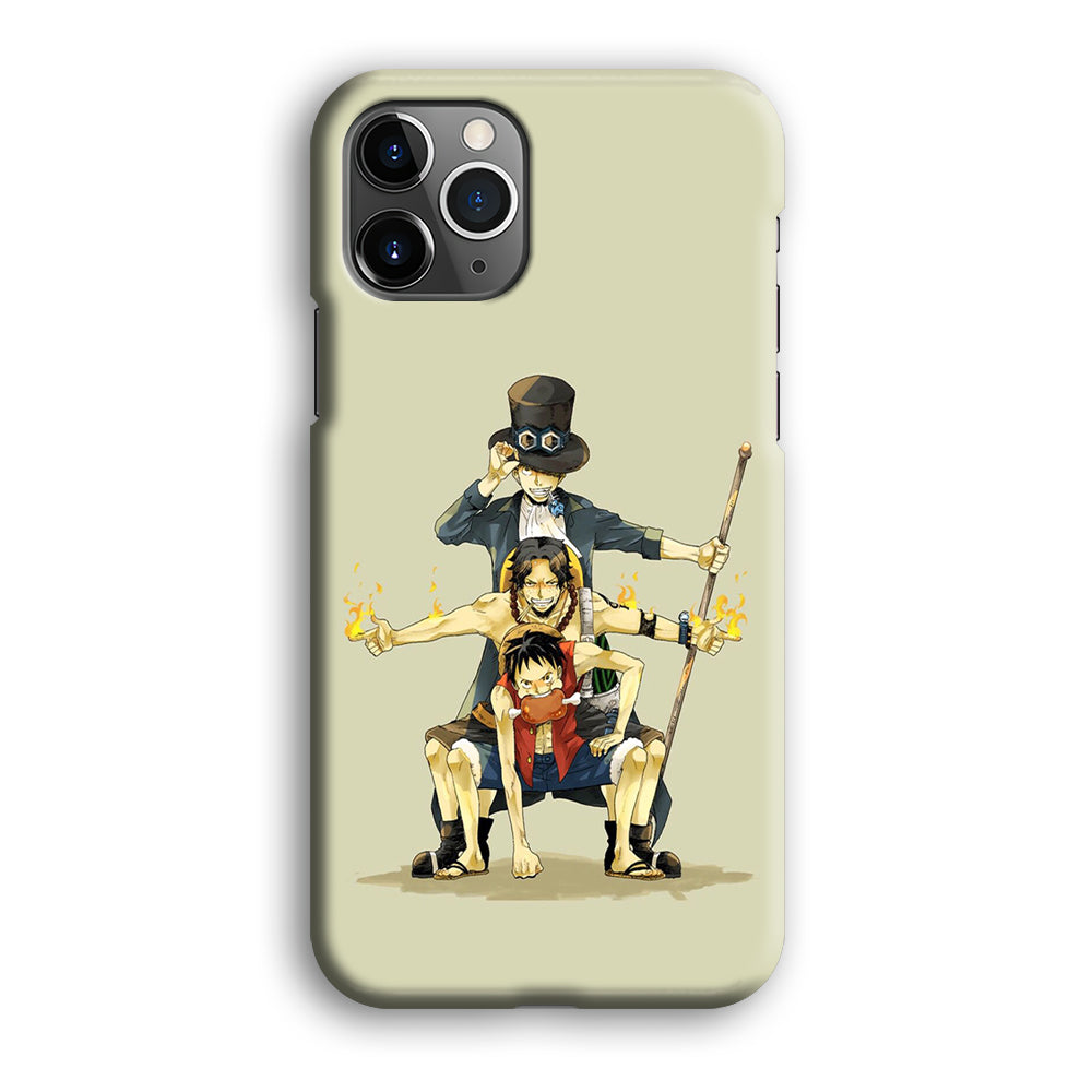 One Piece Brothers in Arms iPhone 12 Pro Case