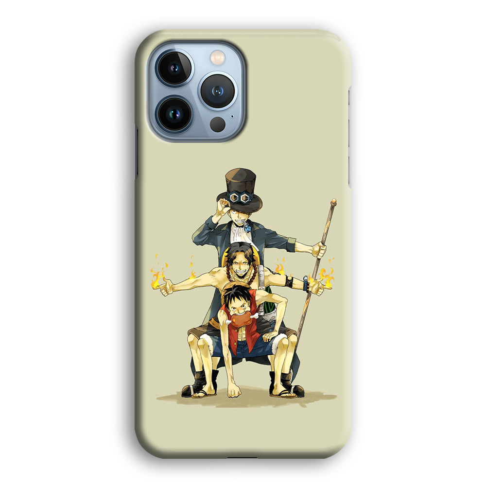 One Piece Brothers in Arms iPhone 13 Pro Max Case