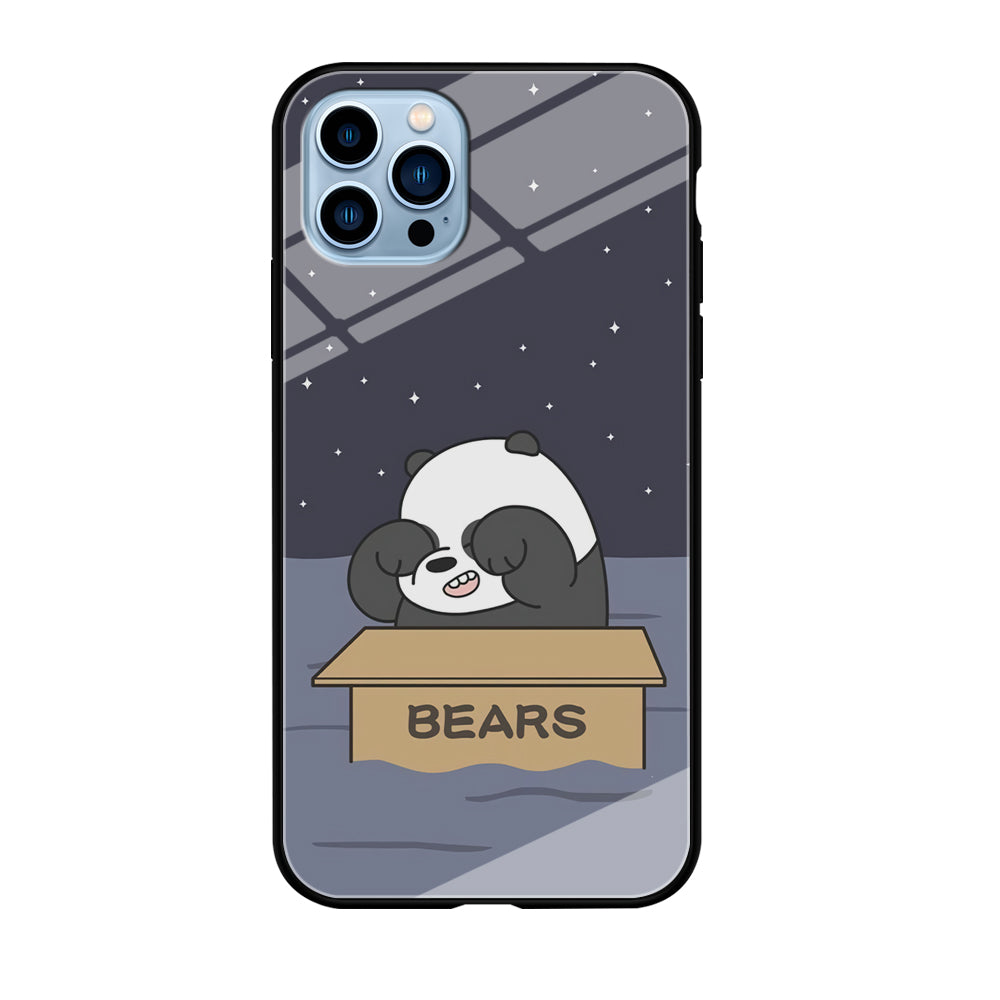 Bare Bears Panda Sail iPhone 12 Pro Case