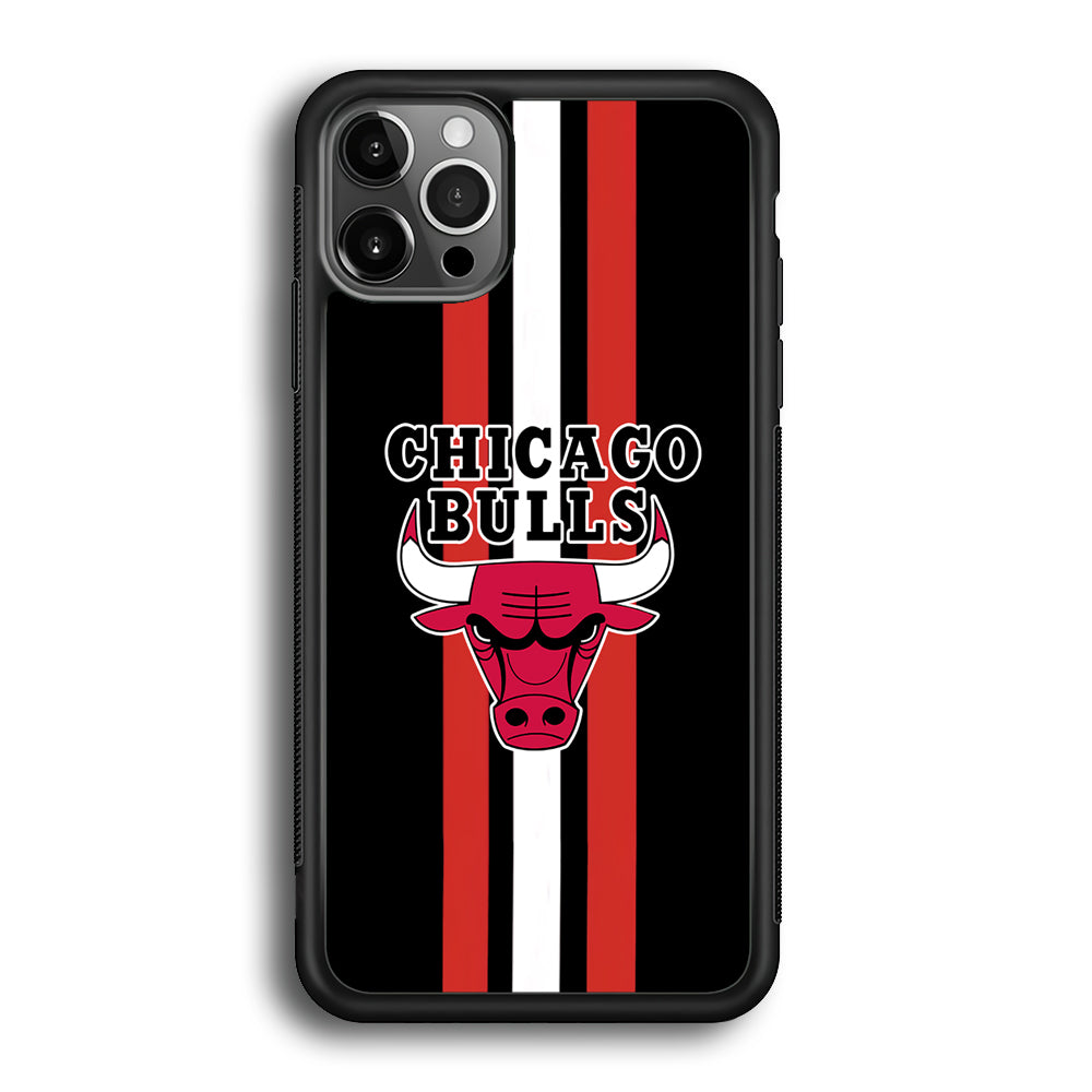 Chicago Bulls Stripe And Emblem iPhone 12 Pro Max Case