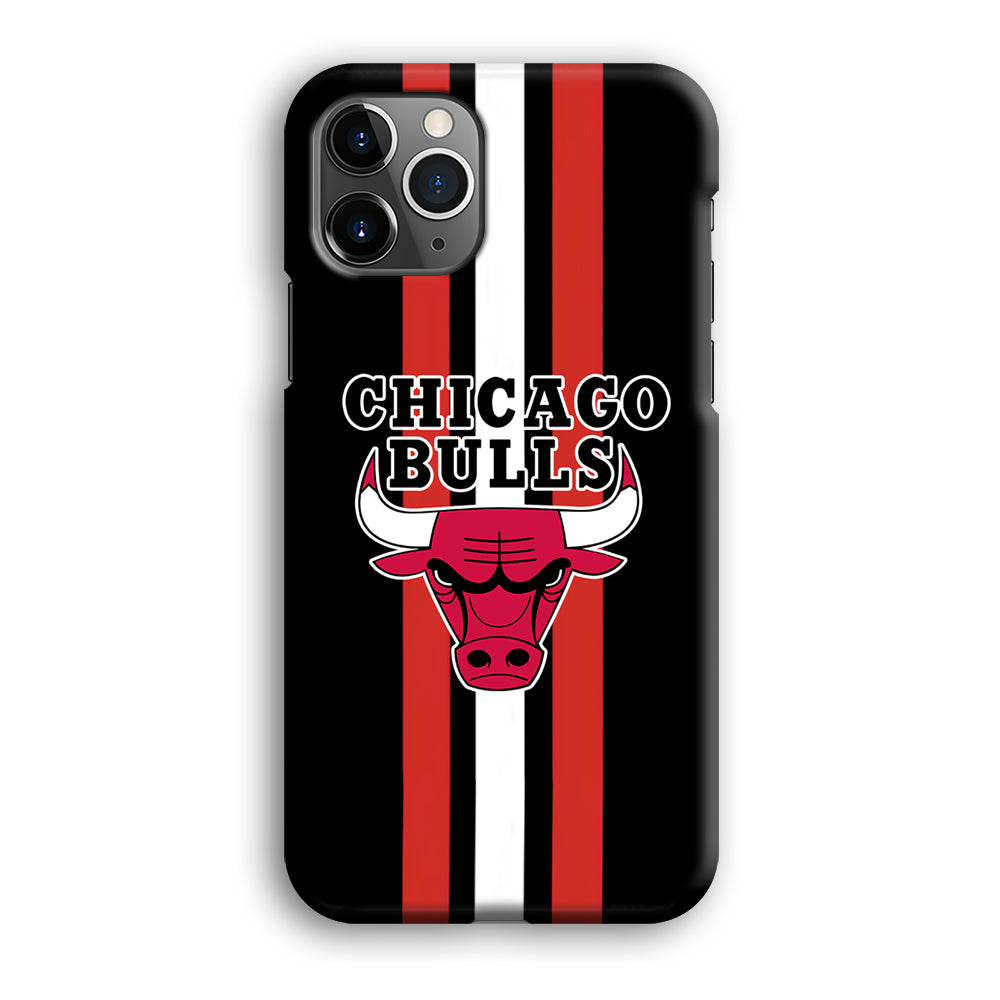 Chicago Bulls Stripe And Emblem iPhone 12 Pro Case