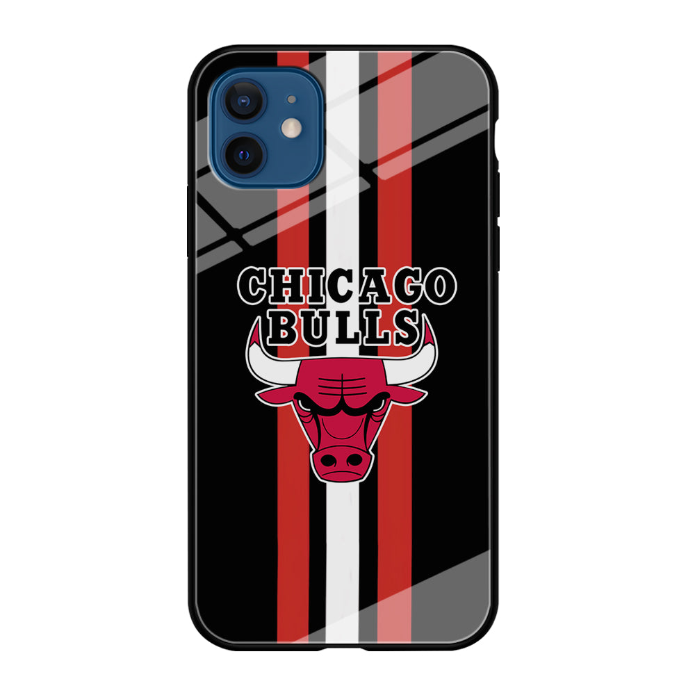 Chicago Bulls Stripe And Emblem iPhone 12 Case