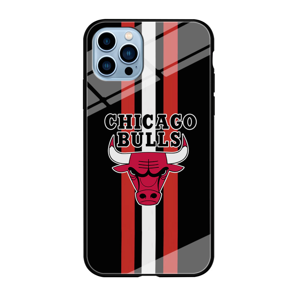 Chicago Bulls Stripe And Emblem iPhone 12 Pro Max Case