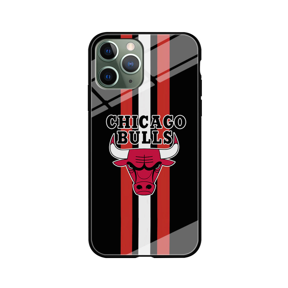 Chicago Bulls Stripe And Emblem iPhone 11 Pro Case