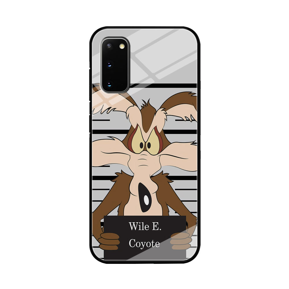 Road Runner Wile E Coyote Get Caught Samsung Galaxy S20 Case