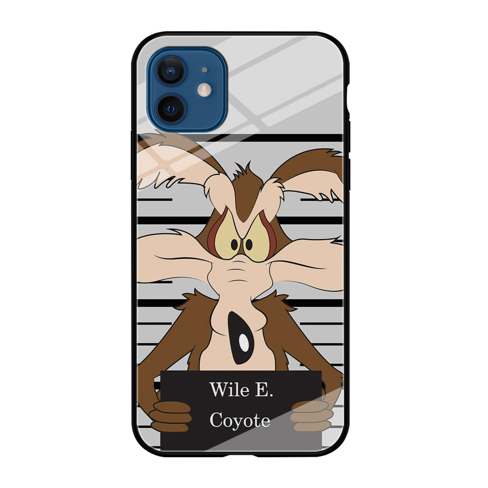 Road Runner Wile E Coyote Get Caught iPhone 12 Case