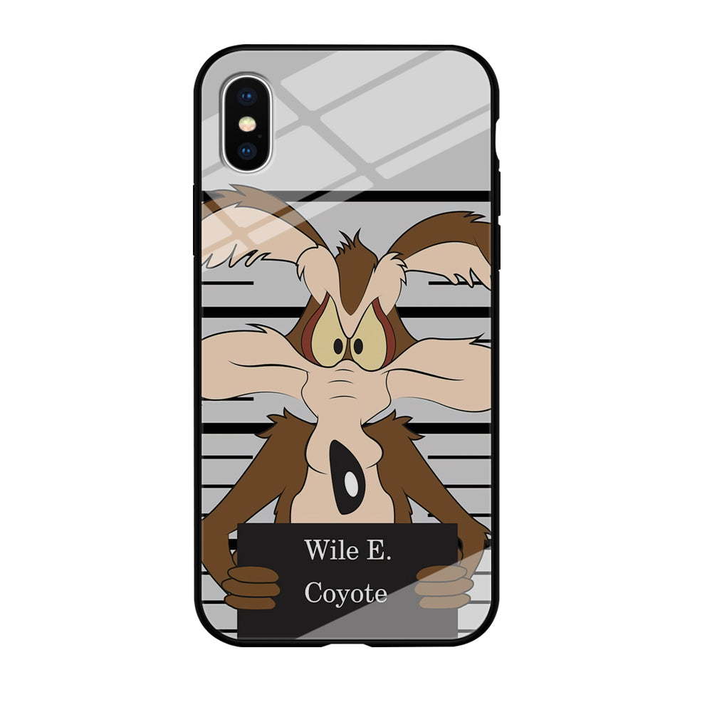 Road Runner Wile E Coyote Get Caught iPhone X Case