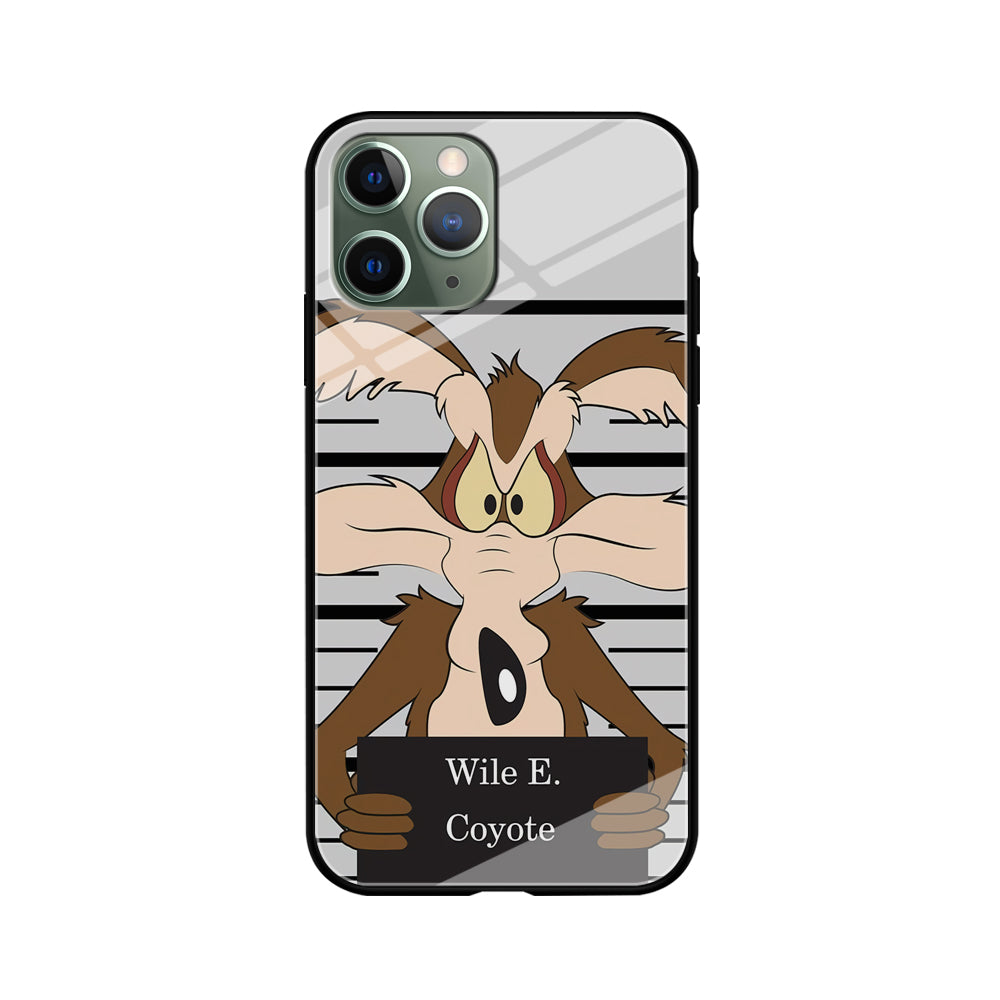 Road Runner Wile E Coyote Get Caught iPhone 11 Pro Case